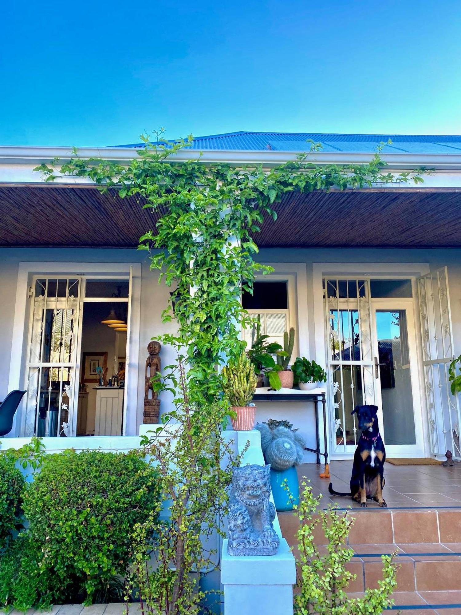 1 Royal Street Guesthouse ライビーク・カステール エクステリア 写真
