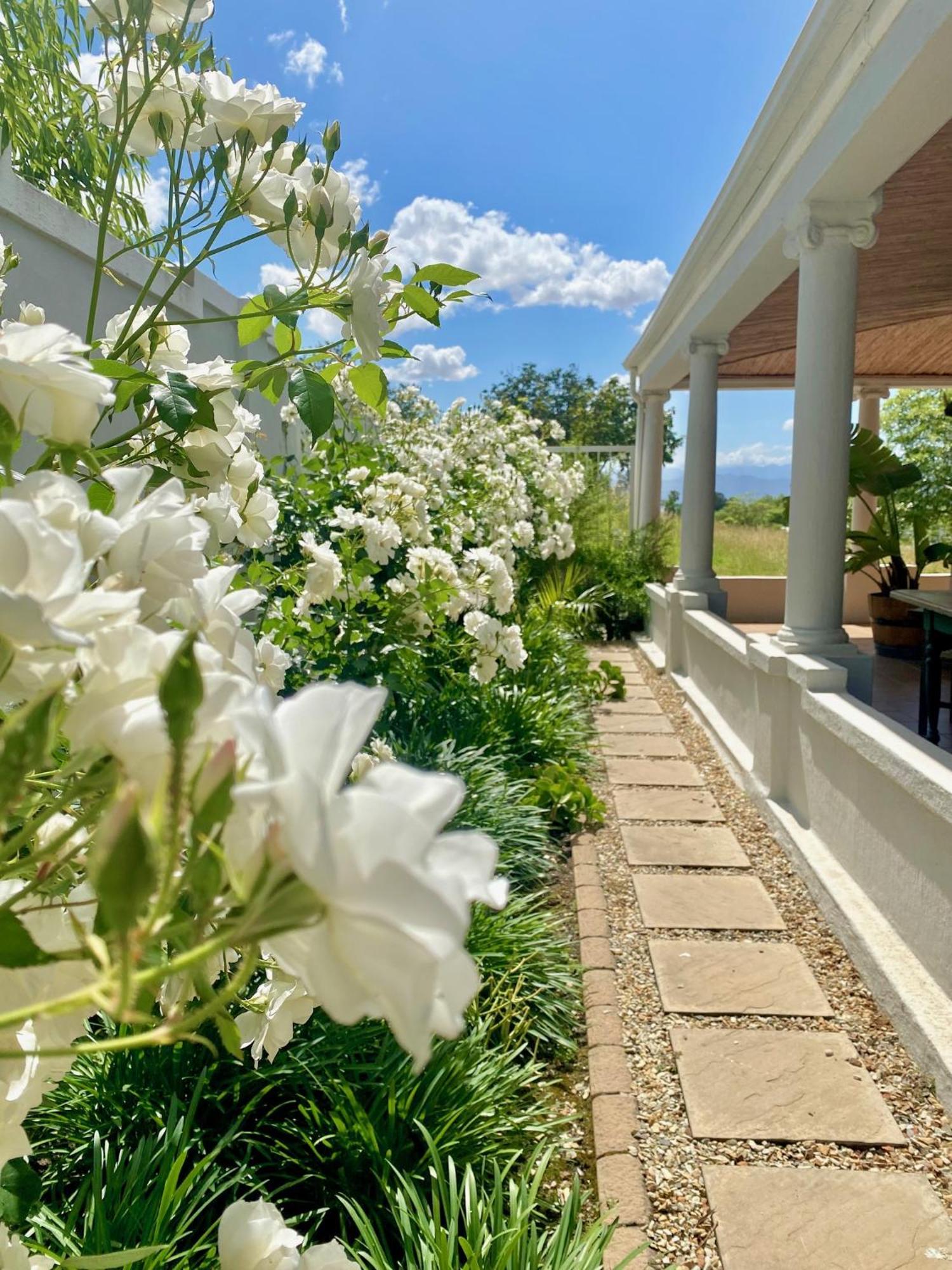 1 Royal Street Guesthouse ライビーク・カステール エクステリア 写真